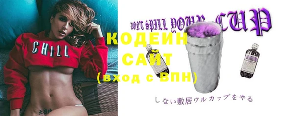 тгк Нея