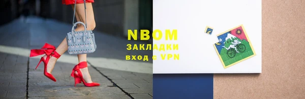 прущие грибы Новодвинск